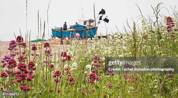 boating at aldeburgh - aldeburgh stock pictures, royalty-free photos & images