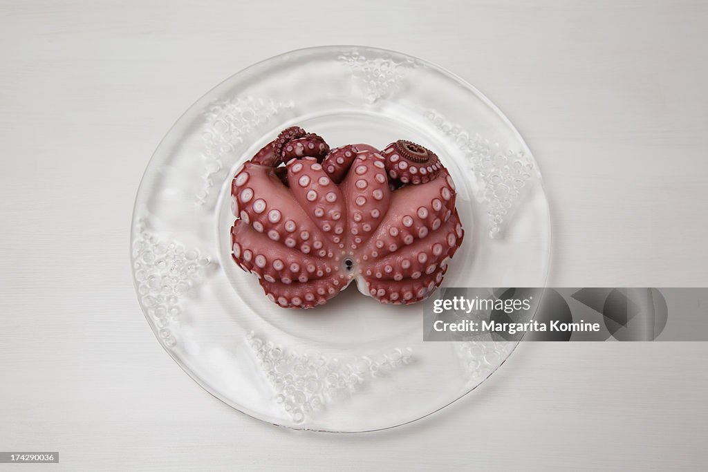 Upside-down octopus on a glass plate