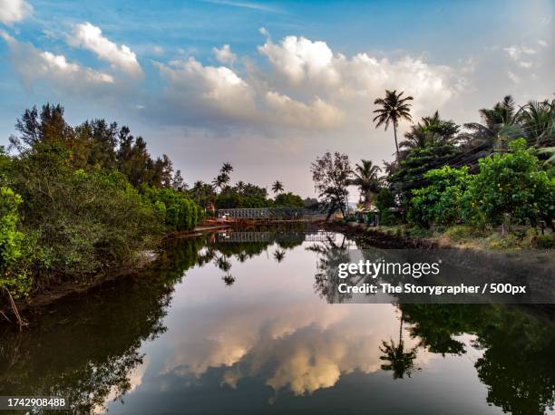 scenic view of lake by trees against sky - the storygrapher - fotografias e filmes do acervo