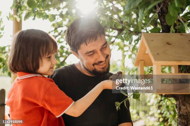 caring son holding sparrow near birdhouse - bird feeder stock pictures, royalty-free photos & images