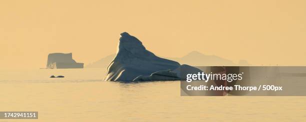 scenic view of sea against clear sky during sunset - andree thorpe stock pictures, royalty-free photos & images