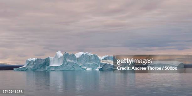 scenic view of icebergs in sea against sky - andree thorpe stock pictures, royalty-free photos & images