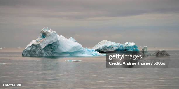 scenic view of icebergs in sea against sky - andree thorpe stock pictures, royalty-free photos & images