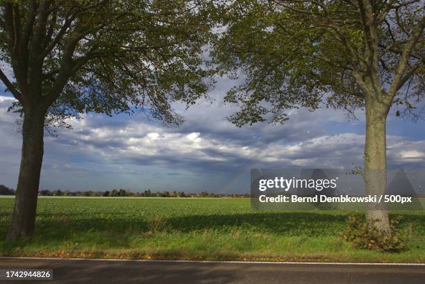 scenic view of field against sky - bernd dembkowski stock pictures, royalty-free photos & images