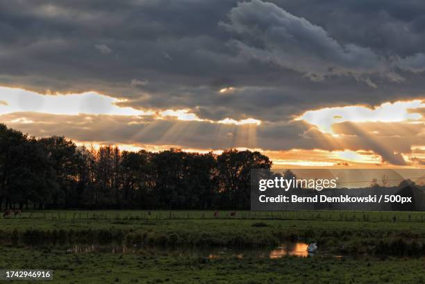 scenic view of field against sky during sunset - bernd dembkowski stock-fotos und bilder