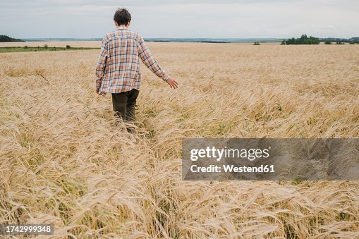 Teenage boy walking through wheat field
