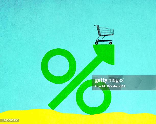 illustration of empty shopping cart standing on top of oversized percentage sign - monetary policy stock illustrations