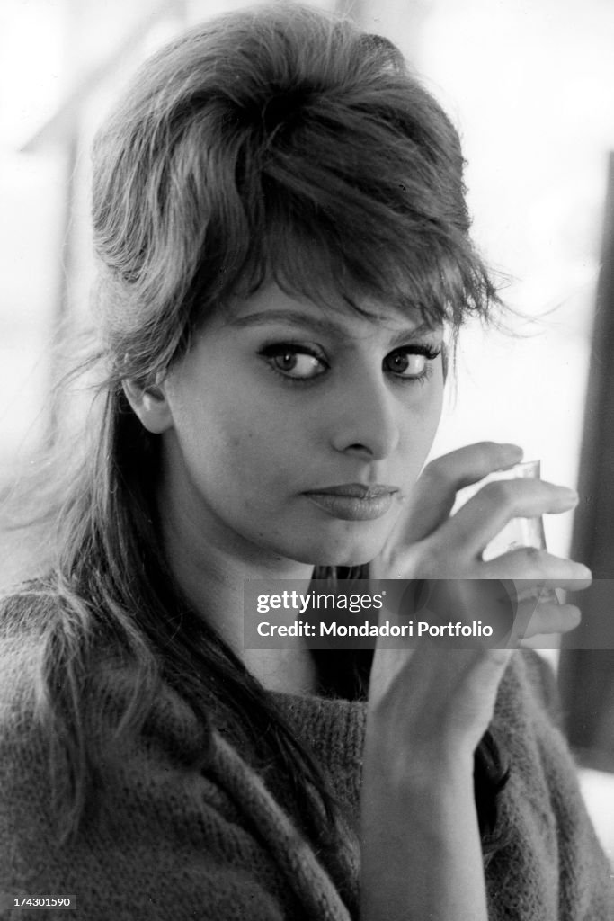 Portrait Of Sophia Loren
