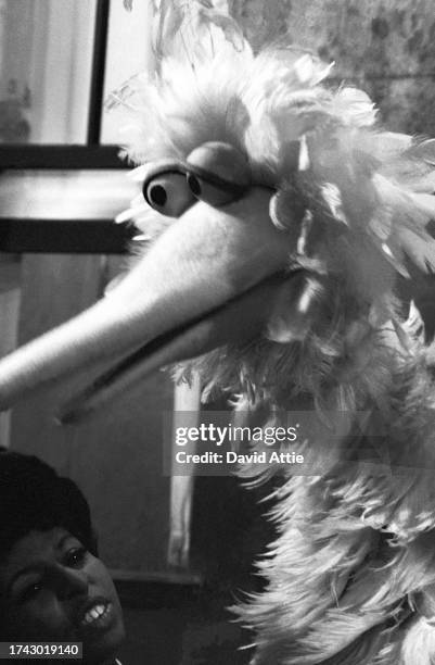 Actress Loretta Long and puppeteer Caroll Spinney as 'Big Bird' during the taping of Sesame Street's very first season, taken for America Illustrated...