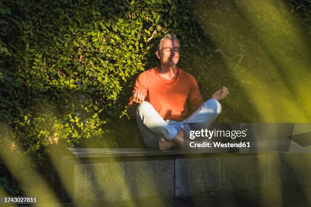 mature man doing yoga sitting on bench - mise au point au second plan photos et images de collection