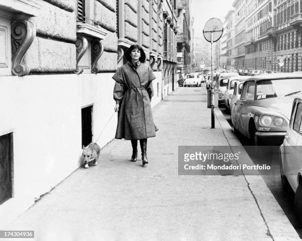 French actress Juliette Mayniel walking with a Welsh Corgi dog on the leash. Rome, 1970s.