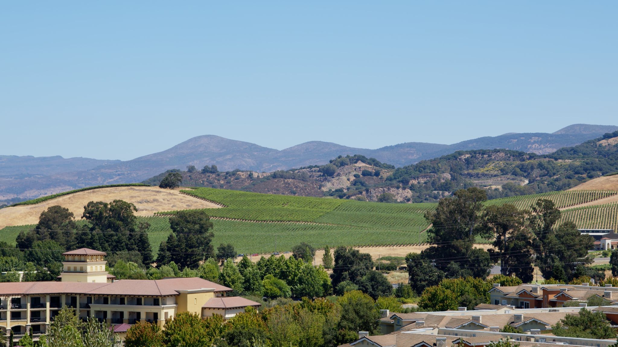 napa valley real estate