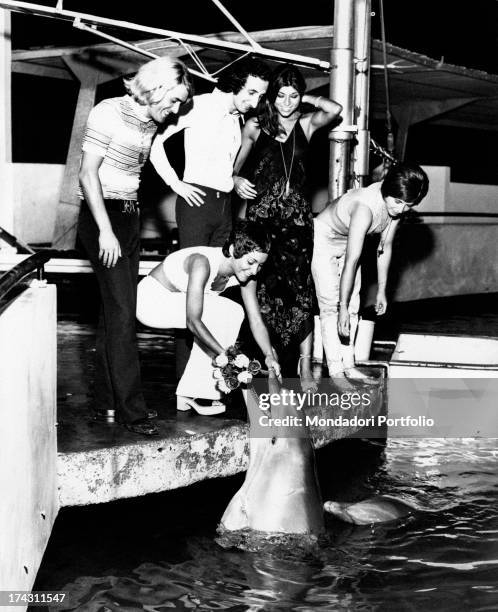 Italian singer Angela Brambati getting a bunch of flowers from a dolphin. The other members of the band Ricchi e Poveri or Italian singers Marina...