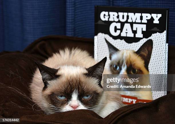 Grumpy Cat makes an appearance at Kitson Santa Monica to promote her new book "Grumpy Cat : A Grumpy Book" on July 23, 2013 in Santa Monica,...