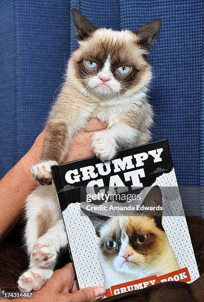 Grumpy Cat makes an appearance at Kitson Santa Monica to promote her new book "Grumpy Cat : A Grumpy Book" on July 23, 2013 in Santa Monica,...