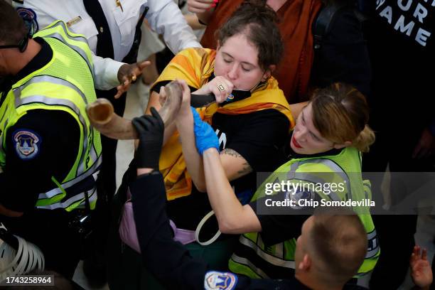 Capitol Police detained a woman as she blows a ram's horn shofar during a rally to demand a cease-fire against Palestinians in Gaza in the rotunda of...