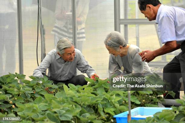 Emperor Akihito and Empress Michiko crop strawberry during their visit to a farmer on July 24, 2013 in Nasushiobara, Tochigi, Japan. The Emperor and...