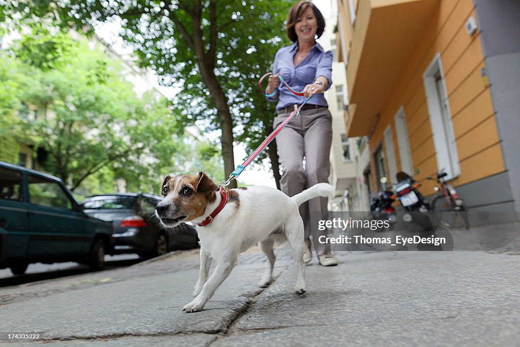 女性の犬のお散歩、街通り