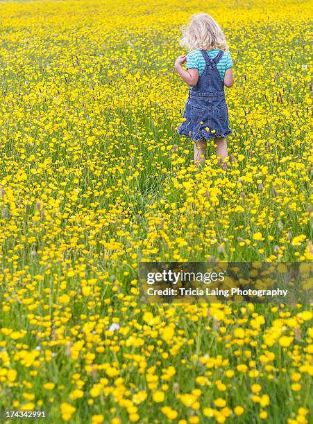 young girl in field of yellow buttercups - ranuncolo comune foto e immagini stock