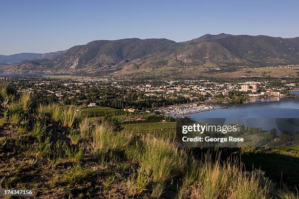 Hillside vineyards in the Naramata Bench wine region near downtown Penticton June 6, 2013 in Penticton, British Columbia, Canada. Located across the...