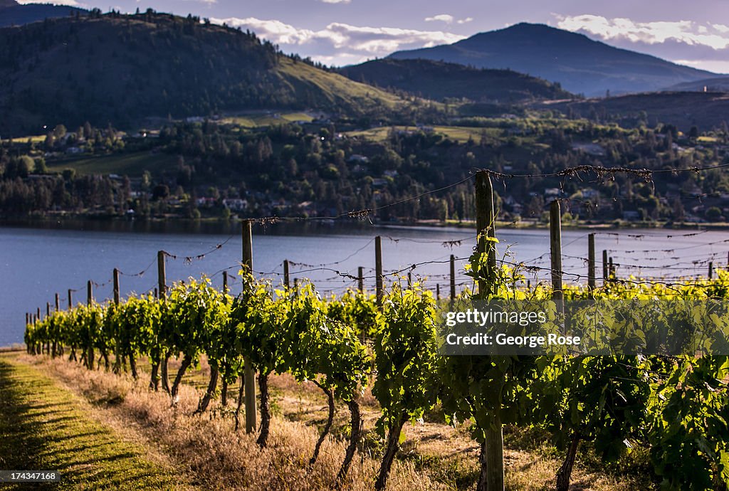 Exploring British Columbia's Okanagan Valley