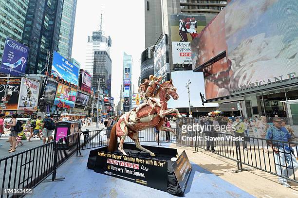 Rearing Horse With Rider", one of Dr. Gunther von Hagens most recognized anatomical specimens, during the public unveiling at Times Square on July...