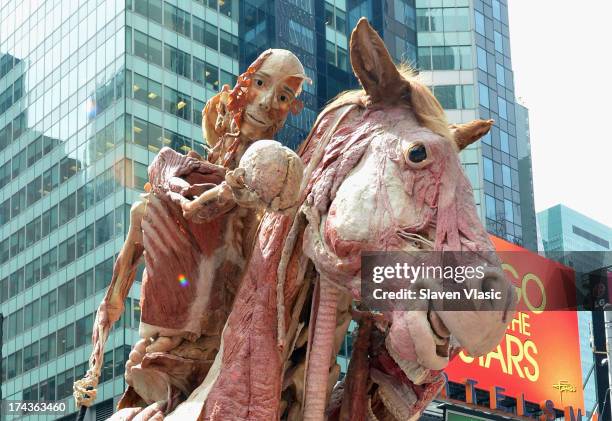 Rearing Horse With Rider", one of Dr. Gunther von Hagens most recognized anatomical specimens, during the public unveiling at Times Square on July...