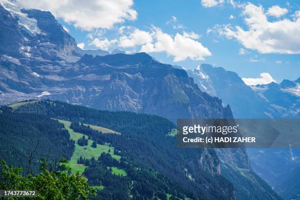 a summer view of eiger mountain and the landscape in the swiss alps - monch stock pictures, royalty-free photos & images