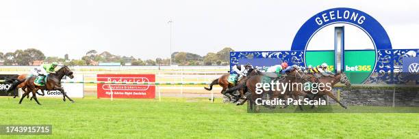 Amade ridden by Zac Spain wins the bet365 Geelong Cup at Geelong Racecourse on October 25, 2023 in Geelong, Australia.