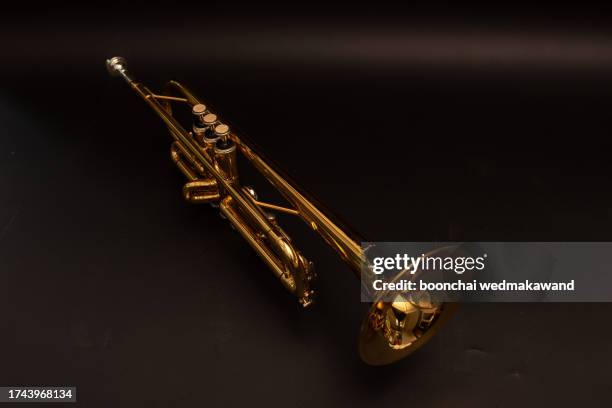Conert Instrument Valve Trumpet Photos and Premium High Res Pictures - Getty Images