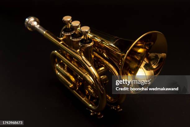 classical cornet instrument isolated from a black background. - classical orchestral music stock pictures, royalty-free photos & images