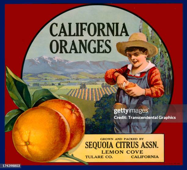 This organge crate label is produced around 1910 in Los Angeles, California.