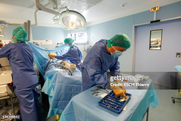 In France, the first clinical trials of the injection of stem cells to regenerate tissues were allowed, Stem cells transplantation in a operating...