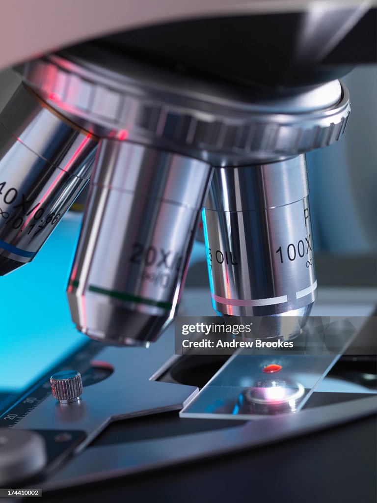 A light microscope examining a sample of tissue in clinical laboratory for research into infection and disease