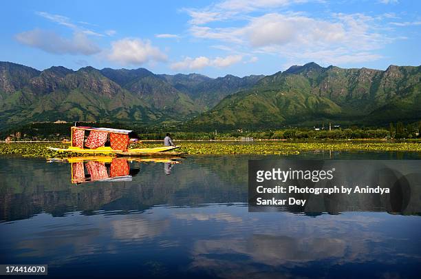 piece of heaven - dal lake stock pictures, royalty-free photos & images