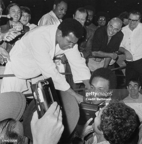 Mutlib Ali 1,431 Sam Ali To Stock Photos, High-Res Pictures, and Images - Getty Images