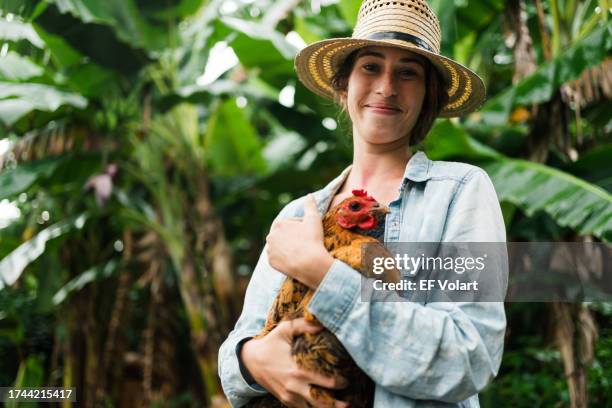 young farmer girl holding hen in tropical farm. portrait of woman with cute chicken - sfruttamento degli animali foto e immagini stock