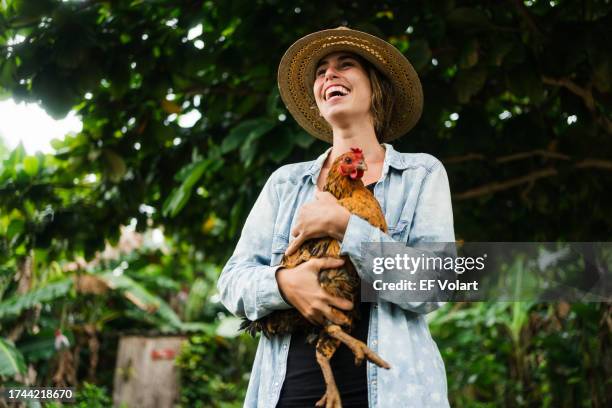 cheerful farmer girl holding hen in alternative sustainable farm - allevamento polli foto e immagini stock