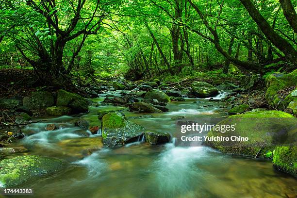 Japanese Rivers Small Japan River Photos and Premium High Res Pictures - Getty Images