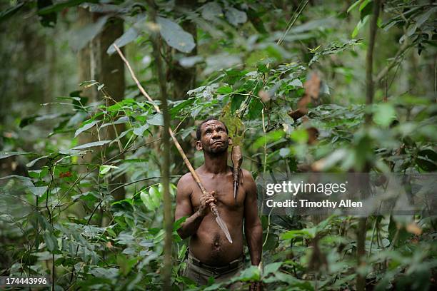 bayak tribesman with spear and axe in jungle - pygmy stock pictures, royalty-free photos & images