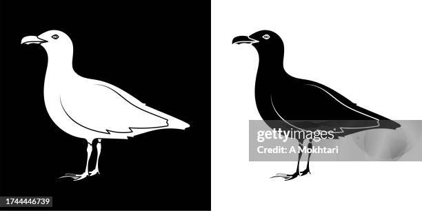 seagull bird icon. - sea bird stock illustrations
