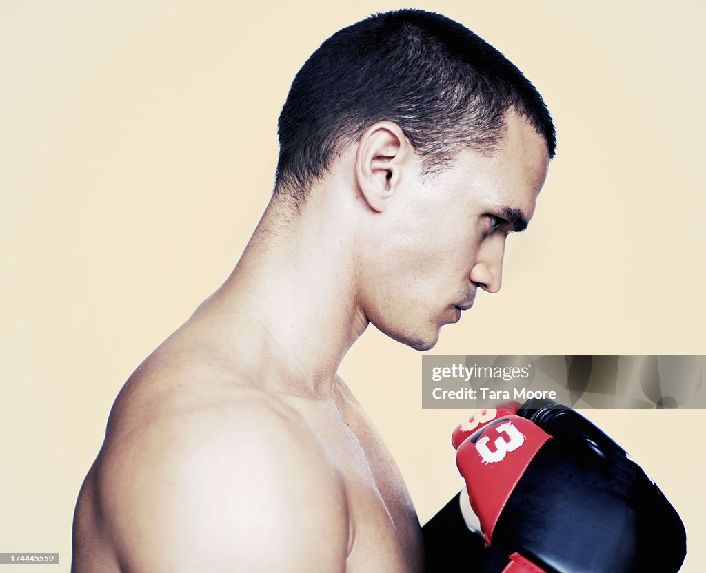 Profile of boxer with boxing gloves