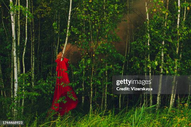 vestido rojo derretido en el bosque - vestido rojo fotografías e imágenes de stock