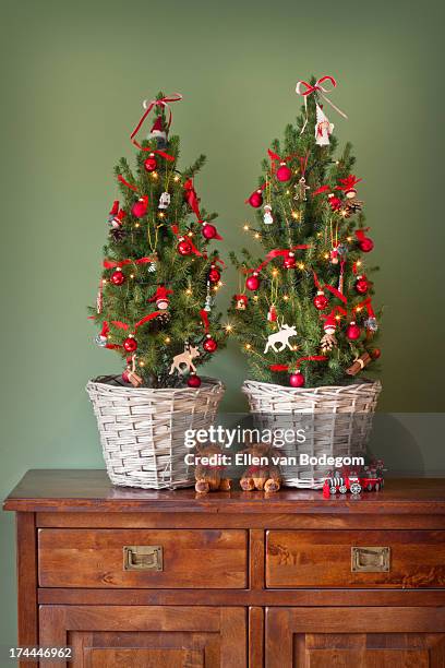 two xmas trees - poortugaal stock pictures, royalty-free photos & images