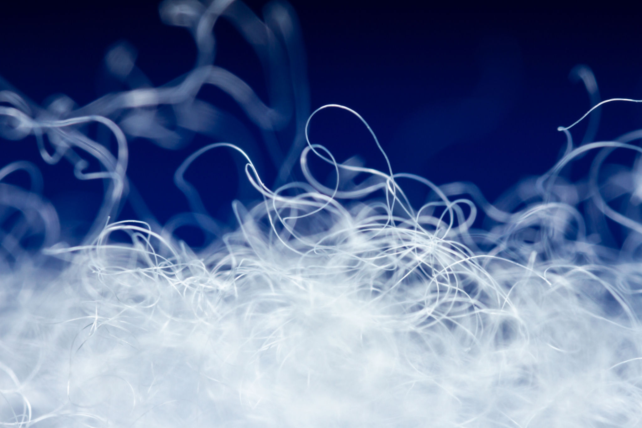 polyester fabric