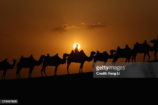 Bactrian camels walk on the dunes of Xiangshawan Desert, also called Sounding Sand Desert on July 20, 2013 in Ordos of Inner Mongolia Autonomous...