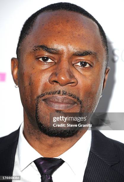 Richard Brooks arrives at the Sony Pictures Classics Presents Los Angeles Premiere Of "Blue Jasmine" at the Academy of Motion Picture Arts and...