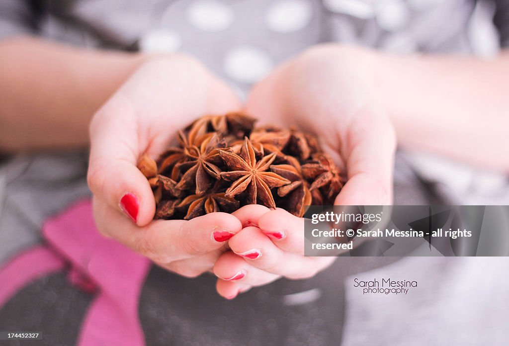 Star anise in hand