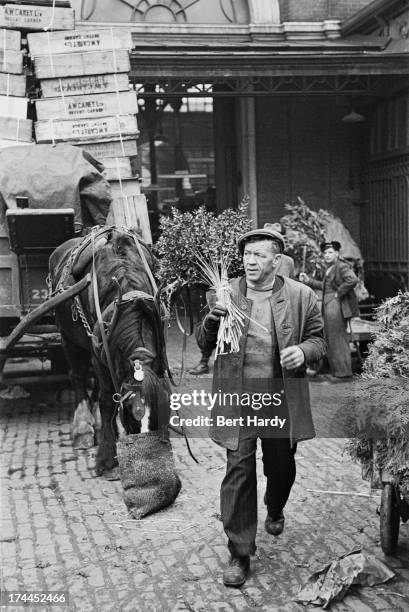 Trader at Covent Garden Market, London, March 1950. Original publication: Picture Post - 4993 - Spring Comes To Covent Garden - pub. 18th March 1950