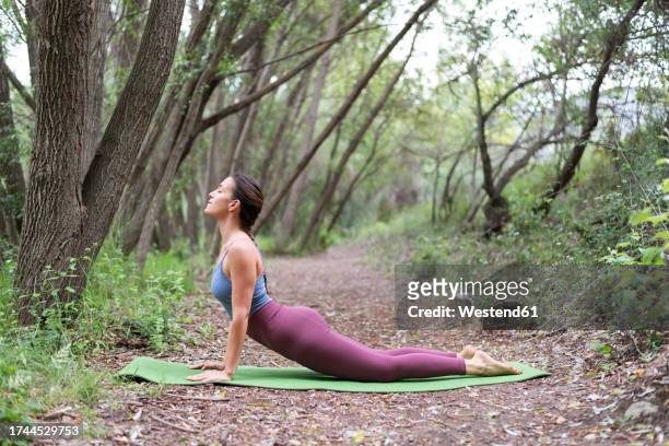 woman doing cobra pose on exercise mat in forest - forest cobra stock pictures, royalty-free photos & images